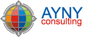 AYNY Consulting